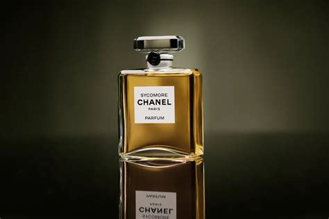 sycomore chanel vintage|chanel sycomore notes.